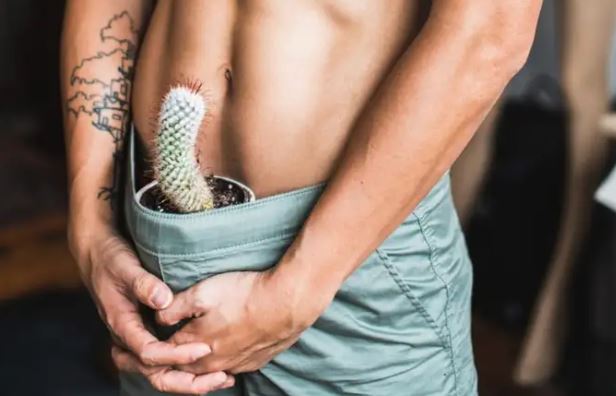 7 Tips Mempertahankan Ereksi Secara Alami untuk Menjaga Kesehatan Pria