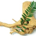 Bukan Hanya Pasak Bumi, Ini Deretan Herbal dan Nutrisi yang Dipercaya Menjaga Keperkasaan Pria 11 pasak bumi